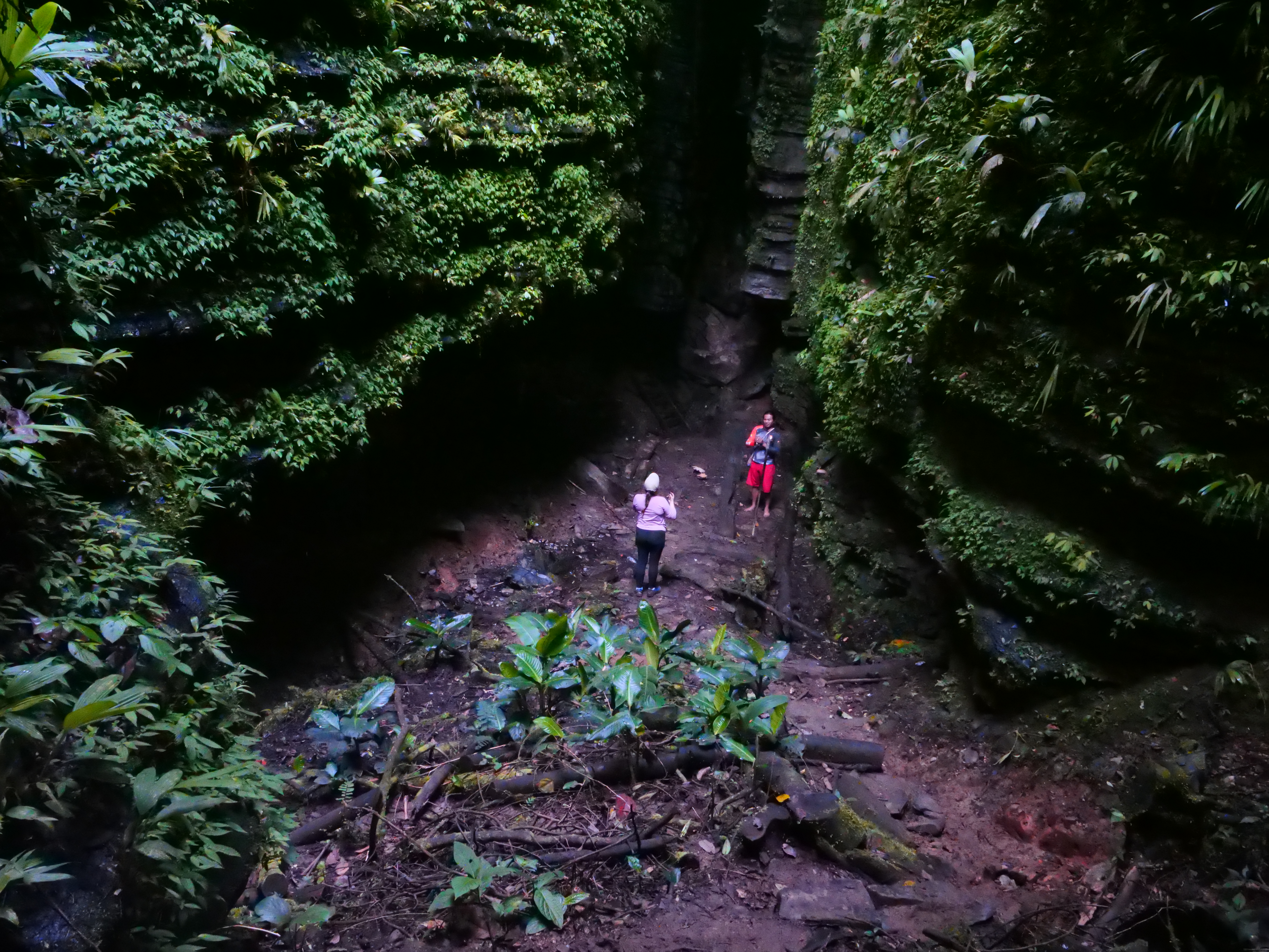 Fieldwork in the Ecuadorian Amazon